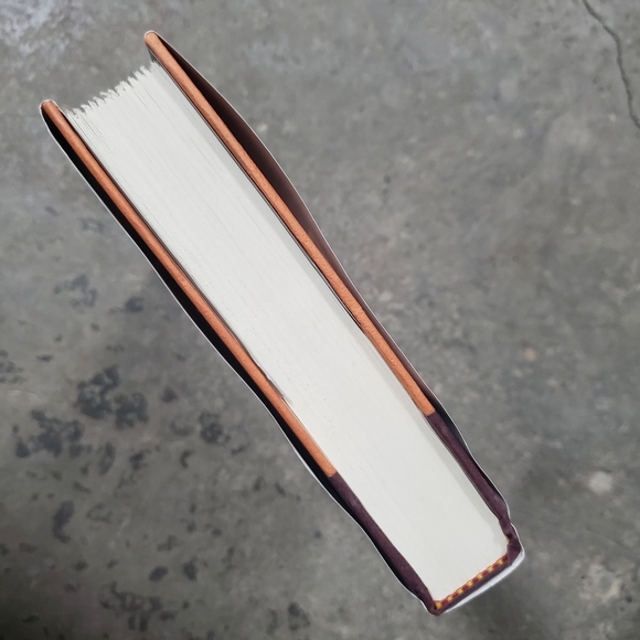 Seeker by William Nicholson (Hardcover book) - Picture 6 of 9